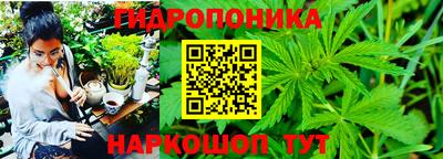 бошки Ярославль