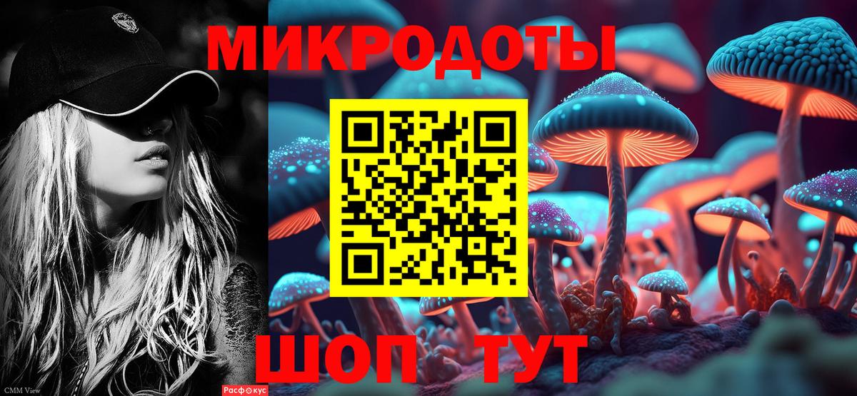 Псилоцибиновые грибы Psilocybe Большой Камень